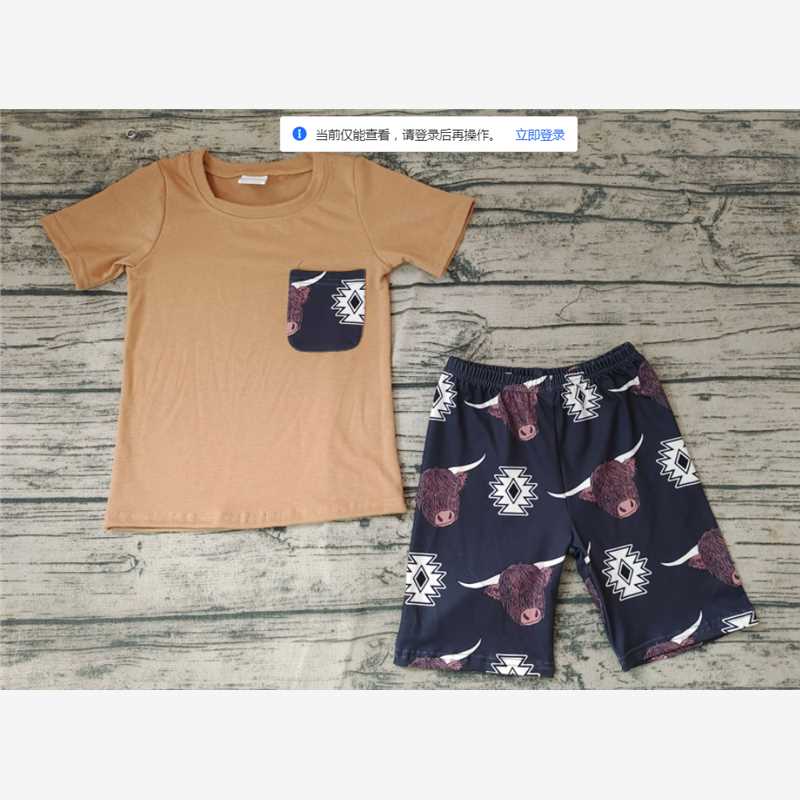 BSSO0148  Boys' Alpine Geometric Brown Pocket Short Sleeve Shorts Set
