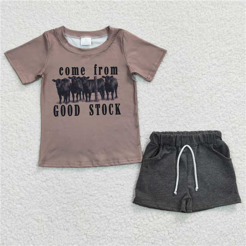 BSSO0193  Boys Cartoon Short Sleeve Gray Shorts Set