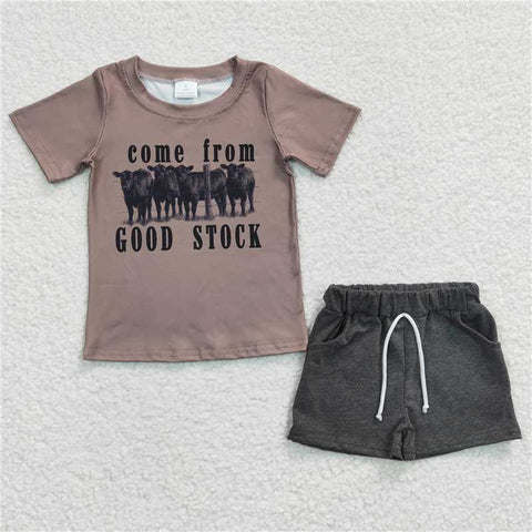 BSSO0193  Boys Cartoon Short Sleeve Gray Shorts Set