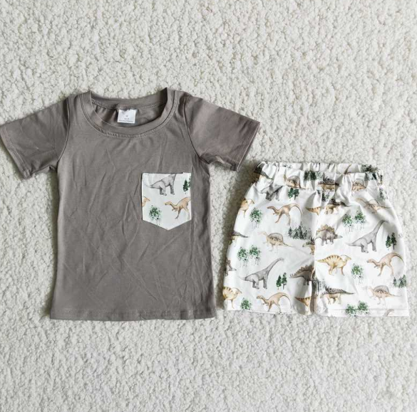D11-12 summer  boy sets